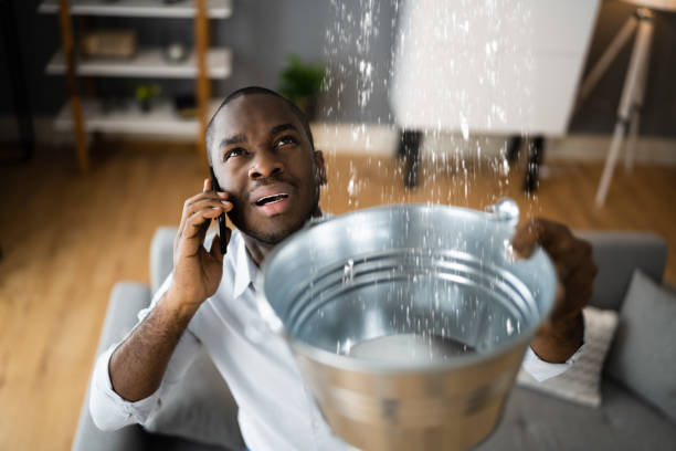 Best Flood damage cleanup  in Green Cove Springs, FL