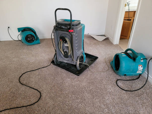 Best Water damage restoration near me  in Green Cove Springs, FL