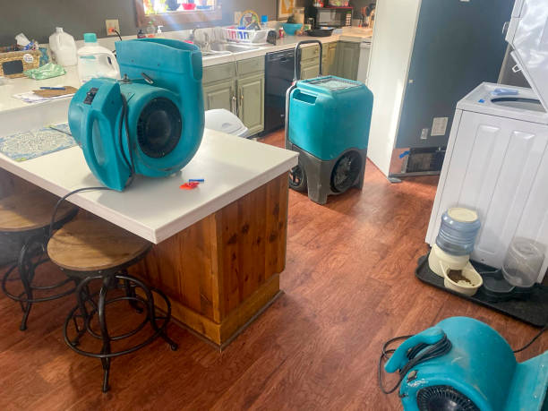 Best Ceiling water damage repair  in Green Cove Springs, FL