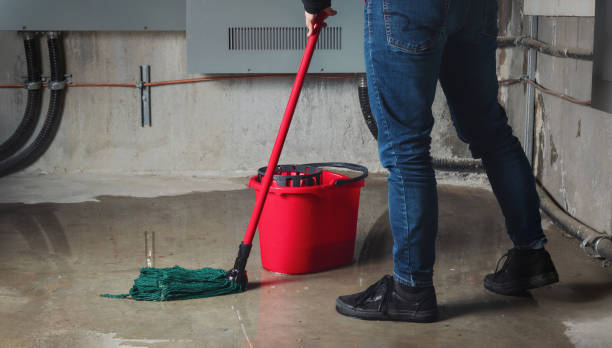  Green Cove Springs, FL Water damage restoration Pros