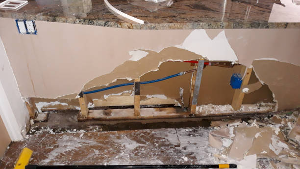 Best Mold removal after water damage  in Green Cove Springs, FL