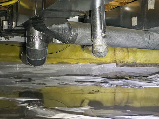 Best Carpet water damage restoration  in Green Cove Springs, FL