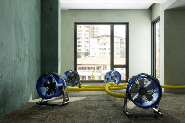Best Residential water damage restoration  in Green Cove Springs, FL